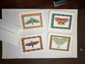 Set of 8 cards: 2 each of different American moths.