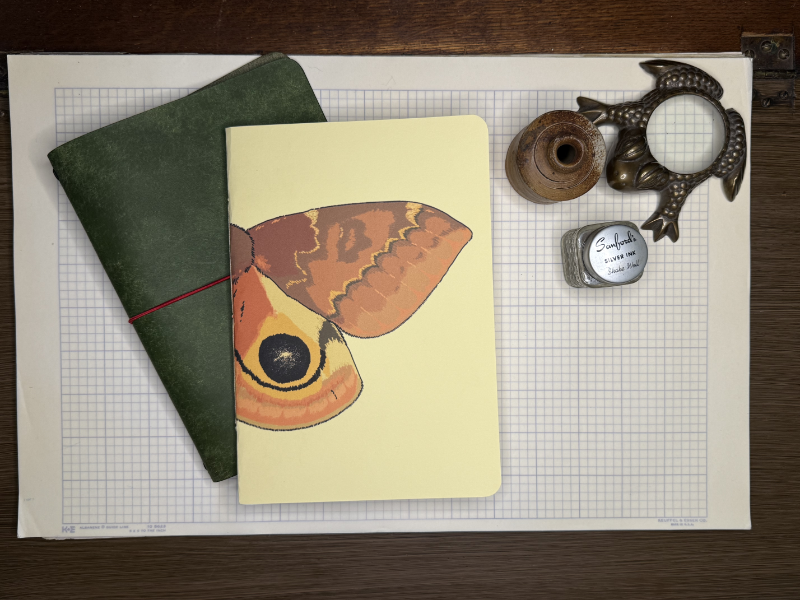 Io Moth A5 Notebook Insert