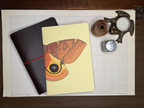Io Moth A5 Notebook Insert