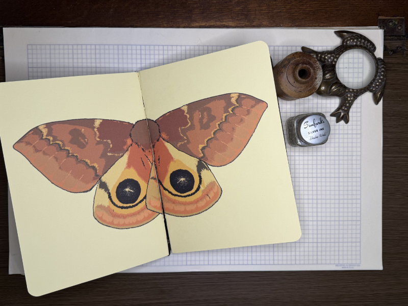 Io Moth A5 Notebook Insert