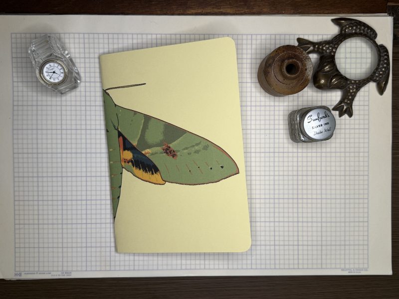 Gaudy Sphinx Moth A5 Notebook Insert
