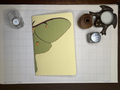 Luna Moth A5 Notebook Insert