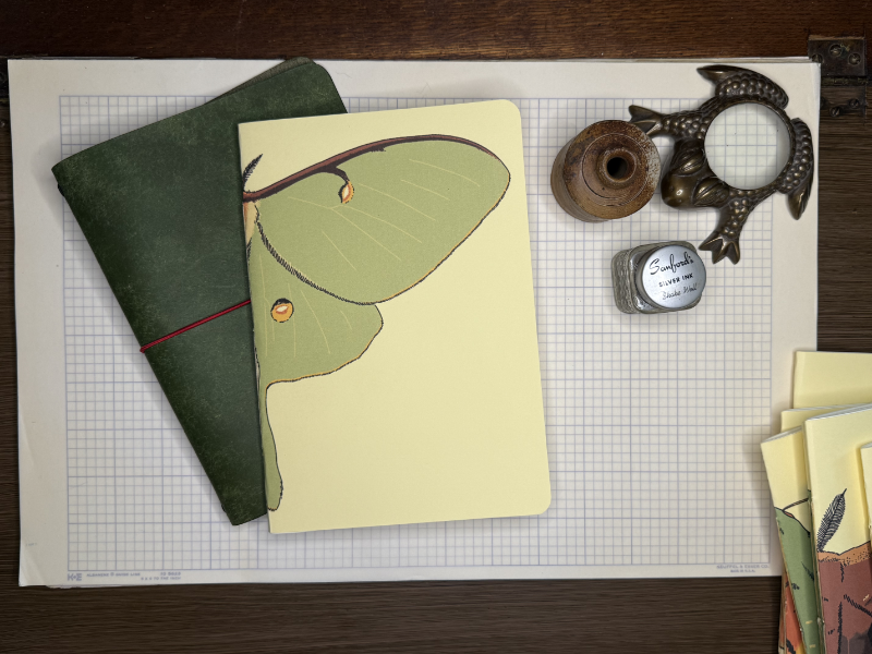 Luna Moth A5 Notebook Insert