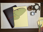 Luna Moth A5 Notebook Insert