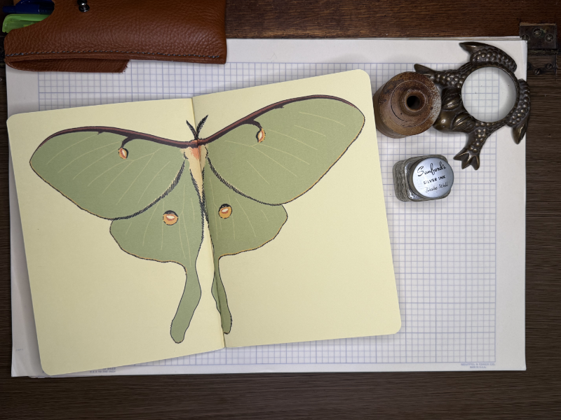 Luna Moth A5 Notebook Insert