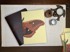 Leather Journal Set with Two Moth Notebooks