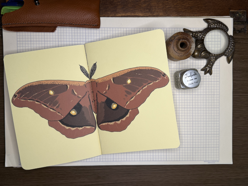 Leather Journal Set with Two Moth Notebooks