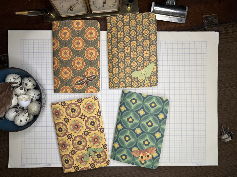 Notebook inserts