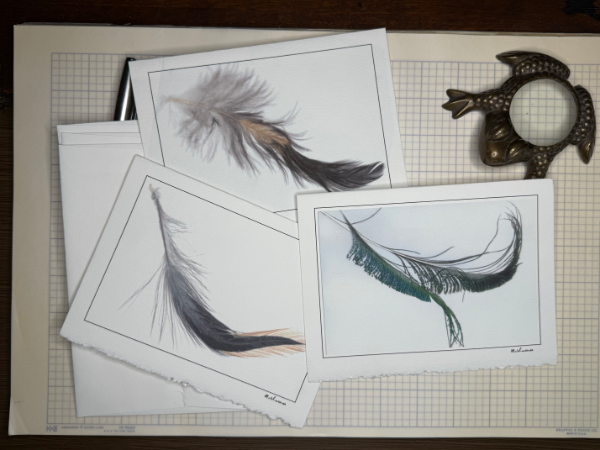 Vintage Feather Art Note Cards