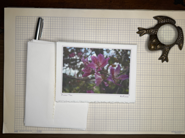 Vintage Floral Photography Note Cards