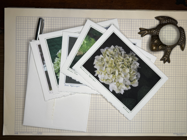 Vintage Floral Photography Note Cards
