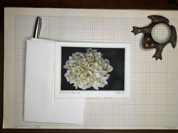 Vintage Floral Photography Note Cards