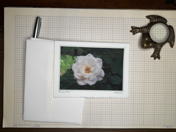 Vintage Floral Photography Note Cards